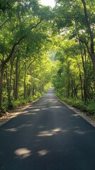 Obraz premium Wet asphalt road leading through lush green forest after rain