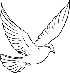 dove line  line vector illustration white background	