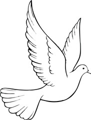dove line  line vector illustration white background	