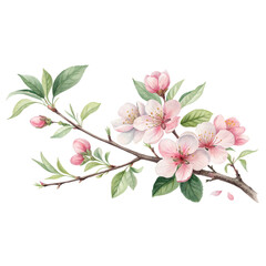 A delicate branch adorned with pink blossoms and lush green leaves, showcasing the beauty of spring.