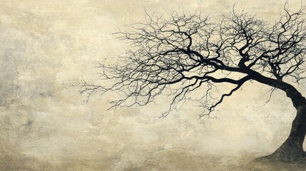 Bare Branches Against a Textured Sky: A Monochromatic Winter Landscape