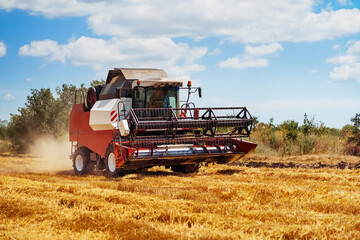Obraz premium Harvesting machine working in golden fields under blue sky with fluffy clouds