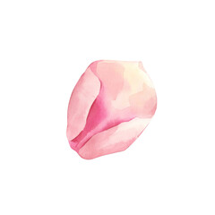 Fototapeta premium Rose Petals. Hand Painted Watercolor