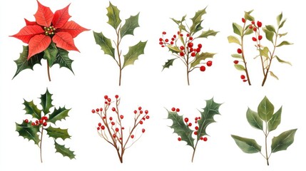 Fototapeta premium Watercolor Christmas floral collection; poinsettia, holly, berries, leaves, branches, winter, festive, design elements.