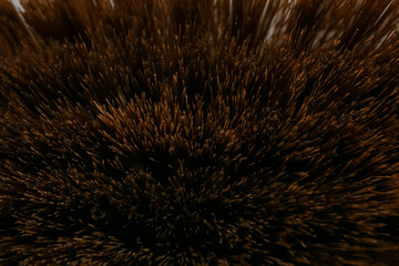 Texture of brush as background, closeup