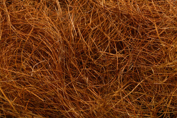 Texture of sisal fiber as background, closeup