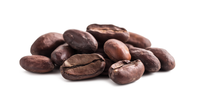 Cocoa beans isolated on a white background