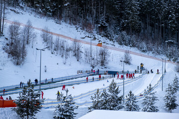 Skiers Enjoying a Snowy Slope in a Pine Forest