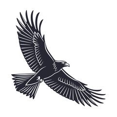 Fototapeta premium black and white vector of a raven in flight perfect for tattoo