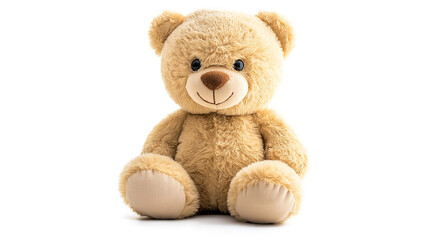 Teddy Bear isolated on a white background