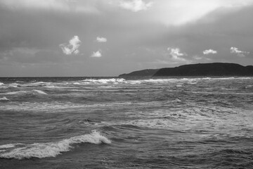 奄美大島の冬の風景