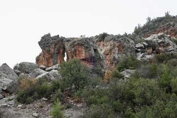 Rocky landscape greenery. High quality photo