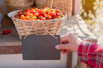 Hand of woman holding a blank sign with the healthy fruits or vegetables
