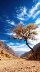 stunning canyon landscape with solitary tree under blue sky