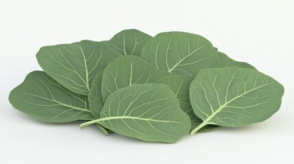 Obraz premium A Pile of Fresh Green Collard Greens Leaves, Isolated on White Background