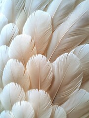 Soft white feathers arranged in intricate patterns on a light background