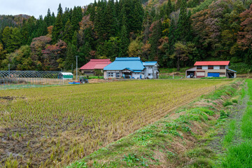 山村の田んぼ