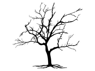 Black Branch Tree or Naked trees and root silhouettes. Hand drawn isolated illustrations.