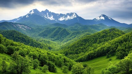 Fototapeta premium Majestic Snow-capped Mountains and Lush Green Valley