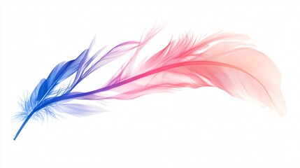 A Colorful Feather: A Delicate Dance of Light and Color