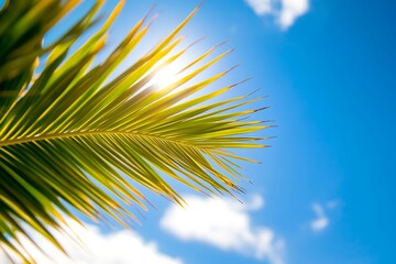 Vibrant Palm Leaf Against a Summer Sky
