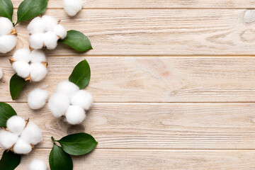 Autumn Floral Flat lay background composition. Dried white fluffy cotton flower branchwith green leaf top view on colored table with copy space