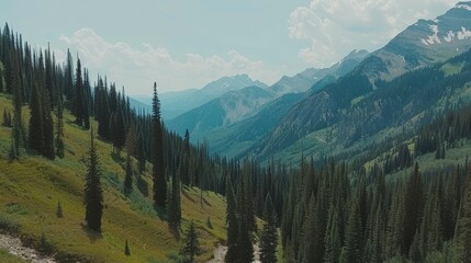 Fototapeta premium Aerial view of drone over dense coniferous forest showcasing vibrant greenery and nature