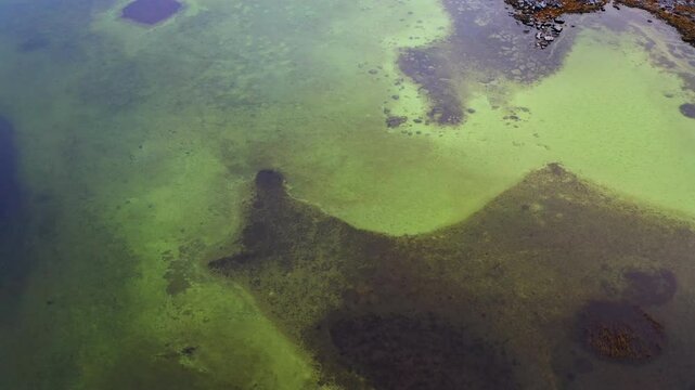 Drone descends toward a turlough, highlighting the sediment surface's vibrant colors and intricate details
