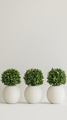 Boho plant decor arrangement minimalist space home interior clean aesthetic front view greenery concept