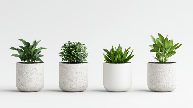 Air-purifying desk plants showcase modern workspace image collection minimalist environment close-up view clean living concept