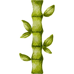 Chinese New Year green bamboo. Symbol of good luck, growth and longevity.
