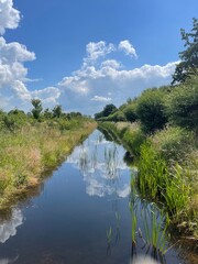 A calm stream reflecting a vibrant blue sky with fluffy white clouds, surrounded by lush green vegetation and reeds on a sunny day.