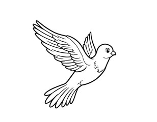 Flying Dove Line Art Illustration Bird Drawing