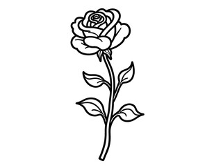 Elegant Single Rose Line Art Drawing Floral Illustration