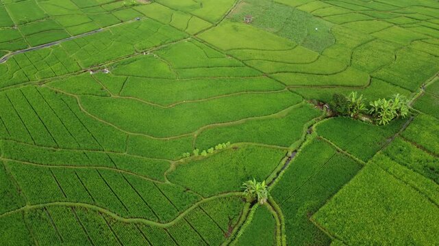 The drone view of Slamet Mountain in Banyumas Regency, Central Java, Indonesia. It was taken on January 15, 2025 by a professional. It's a wonderful landscape with a nice view