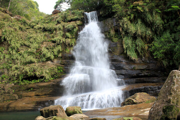 ジャングルトレッキング