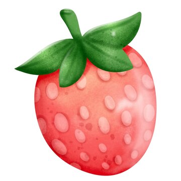 single strawberry in vibrant color hand draw watercolor illustration isolated item