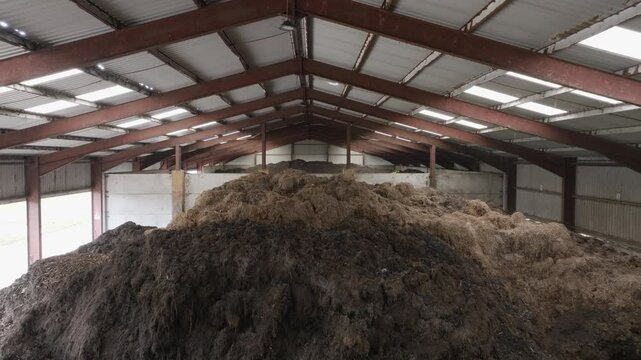 A pile of hay is stacked in a barn. The hay is brown and he is rotting