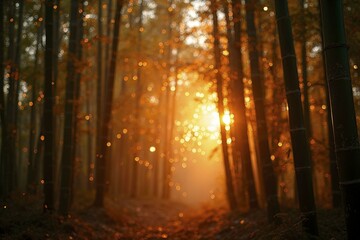 Glowing bamboo forest with sunlight filtering through, bokeh lights