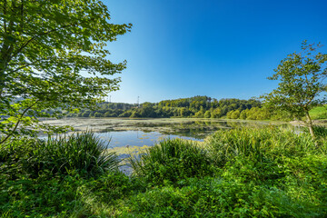 View of the reservoir near Keddinghausen and the surrounding nature. Landscape by the lake near...