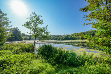 View of the reservoir near Keddinghausen and the surrounding nature. Landscape by the lake near...