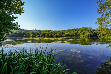 Fototapete bei efototapeten.de bestellen   