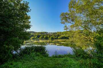 View of the reservoir near Keddinghausen and the surrounding nature. Landscape by the lake near...