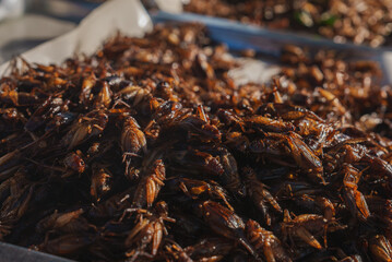 A detailed view of golden brown fried crickets on a tray, glistening and seasoned, with a blurred background hinting at a market or food stall setting.