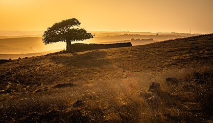 landscapes of dhofar region of oman