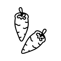 carrots line icon