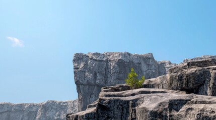 Fototapeta premium A rocky landscape with a solitary tree against a clear blue sky.