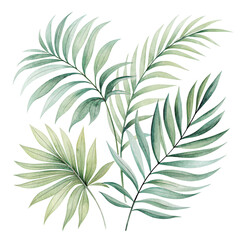 A collection of lush green palm leaves showcasing various shapes and textures.