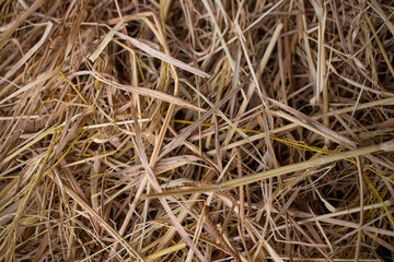 The texture of the straw looks coarse, yet it adds a sense of comfort to the scene.  