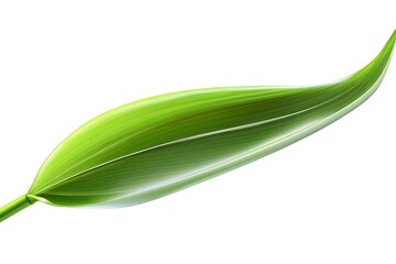 Close-up of a vibrant green leaf